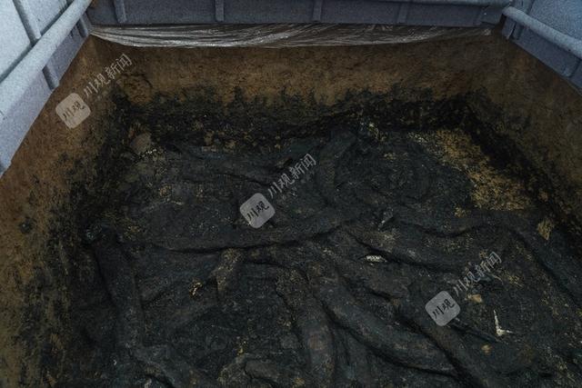 揭秘！三星堆考古现场为什么盖湿毛巾？每4天就要更换一次