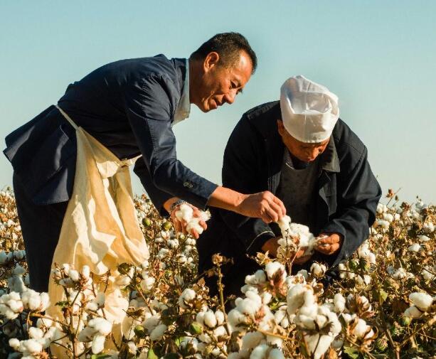 对中国下黑手背后！这个北欧国家，现在苦不堪言