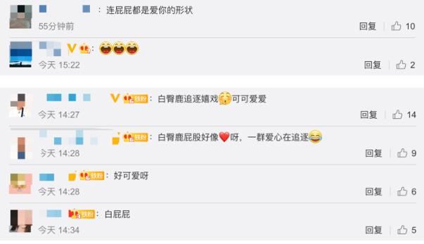 【场面壮观】近200头白臀鹿追逐嬉戏,网友:好像一群爱心在追逐