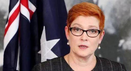 新西兰外长：对“五眼联盟”扩大职权感到不安！