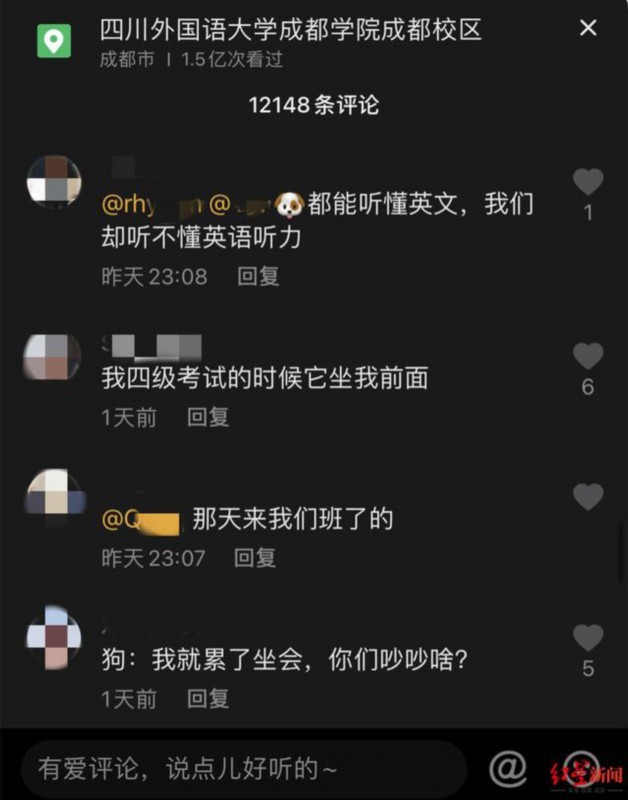 成都一高校课堂现“蹭课狗”，能听懂英语 网友：不愧是外国语学校的狗