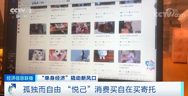 一线城市单身青年40%为“月光族”,中国超2亿人单身