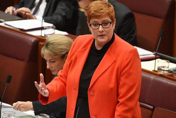 澳外长宣布：撕毁“一带一路”协议，用心险恶！