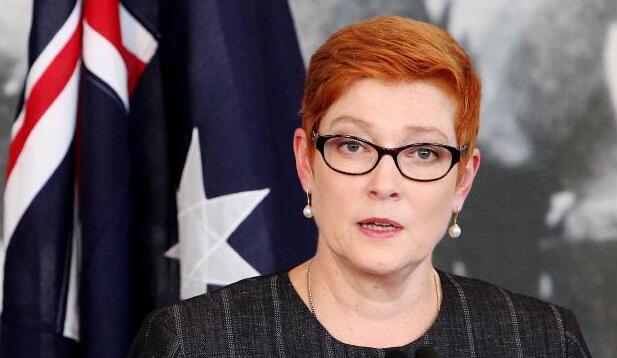 日本驻澳大使：日本加入“五眼联盟”取得进展！