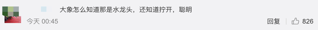 太聪明了！云南象群进村民家拧开水龙头喝水 网友：太聪明了