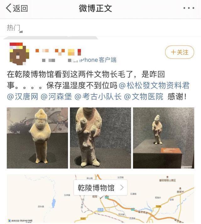 陕西乾陵博物馆回应文物长毛 专家：不建议修复