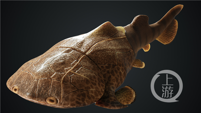 超震撼!重庆发现4.23亿年前袖珍边城鱼,具体是啥情况？ 