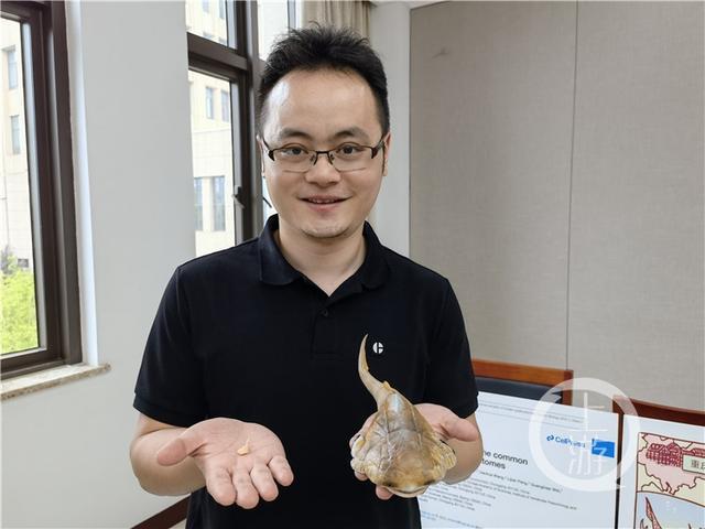 超震撼!重庆发现4.23亿年前袖珍边城鱼,具体是啥情况？ 