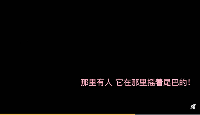 狗子好“委屈”!市民将剃过毛的狗误认成狮子报警详情始末