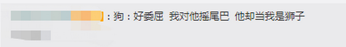 狗子好“委屈”!市民将剃过毛的狗误认成狮子报警详情始末