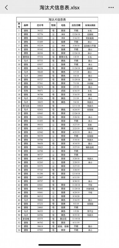 中国刑警学院竞售54只淘汰受训犬 起价均为200元