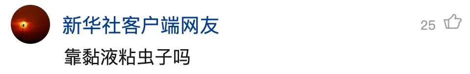 重庆发现吃虫植物，网友：家里能养吗？