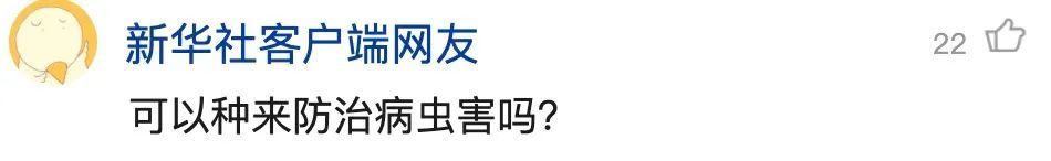 重庆发现吃虫植物，网友：家里能养吗？