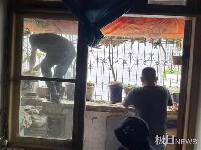 好家伙!离家六年阳台竟长出两棵大树,网友:扎心了