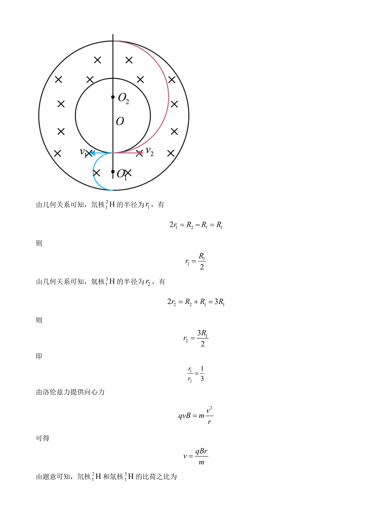 2024年九省联考高考适应性测试河南理科综合试题参考答案及解析